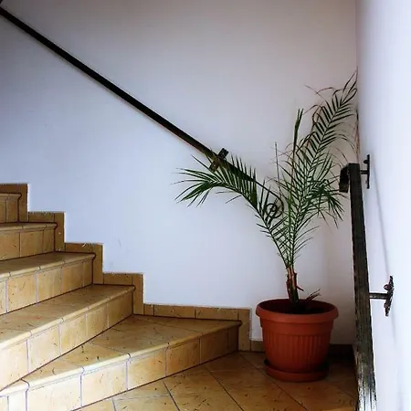 Perelka Baltyku Władysławowo