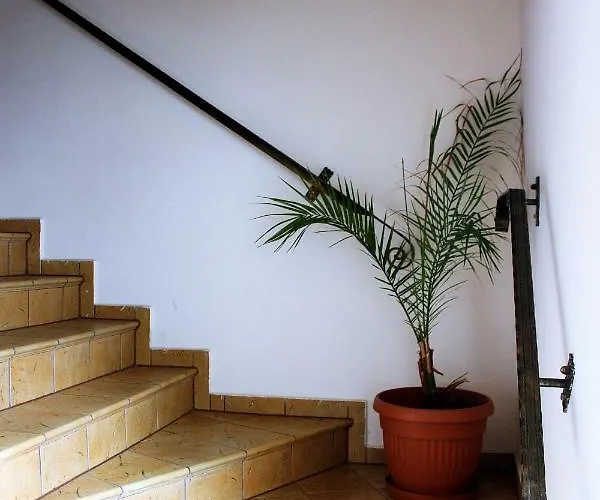 Perelka Baltyku Władysławowo